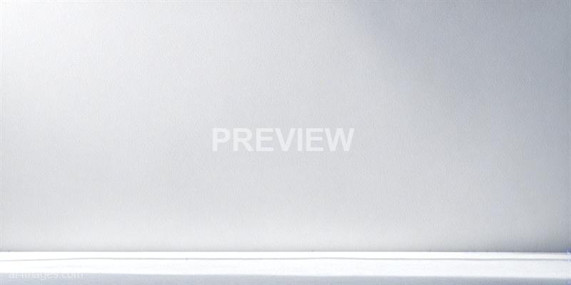 freepik__abstract-white-shadow-gradient-background-with-cop__32910_250520172207_white_00001