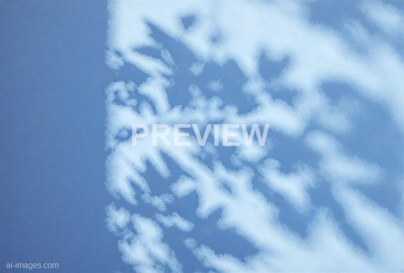 freepik__background-of-organic-shadow-over-cornflower-blue-__65643_250928020628_00001