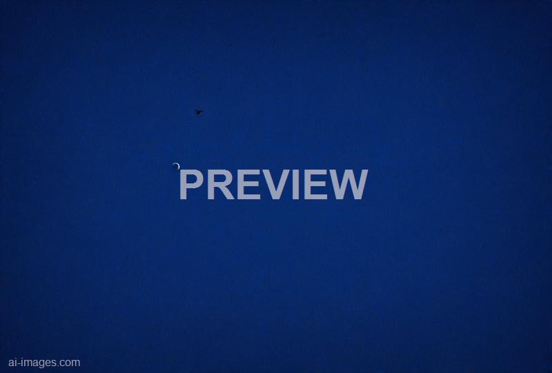 freepik__dark-blue-paper-texture-background-pattern__29981_250930004218_00001