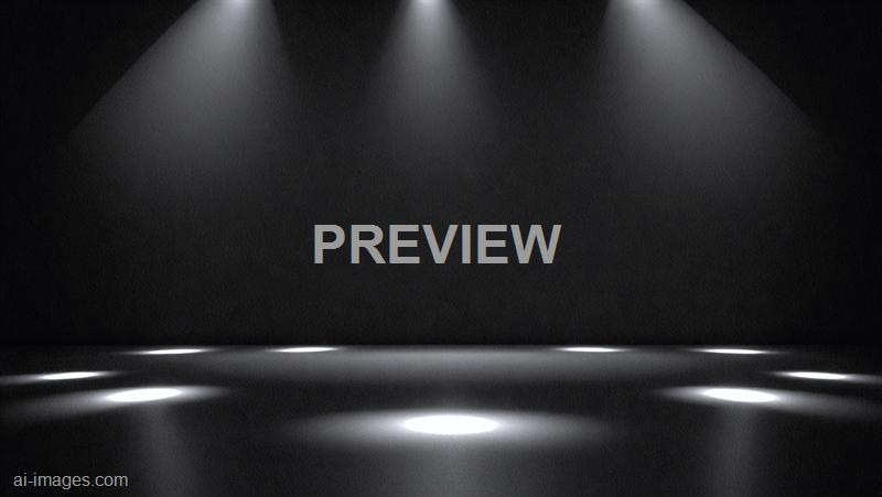 freepik__an-elegant-and-minimalist-black-background-with-sp__36466_250524093811_00001