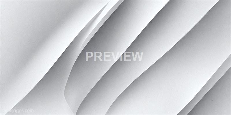 freepik__plain-blank-abstract-white-monochrome-vector-backg__73360_250520062059_white_00001