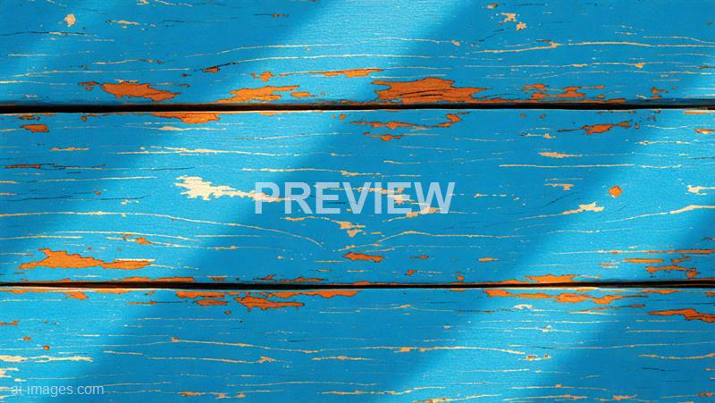 freepik__the-style-is-candid-image-photography-with-natural__17168_250928092220_00001