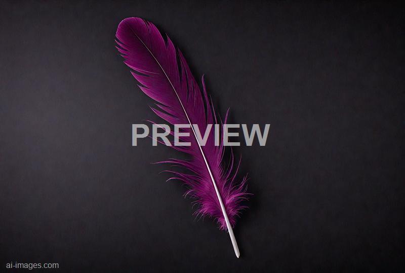 freepik__single-dark-magenta-feather-isolated-on-black-back__39088_251009204019_00001