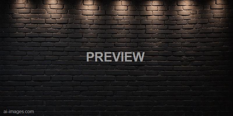 freepik__abstract-image-of-spot-lighting-with-black-brick-w__11386_250524092144_00001
