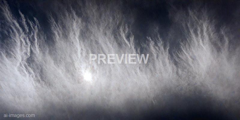 freepik__dark-and-mysterious-a-brilliant-blurry-white-backg__74713_250519092430_white_00001