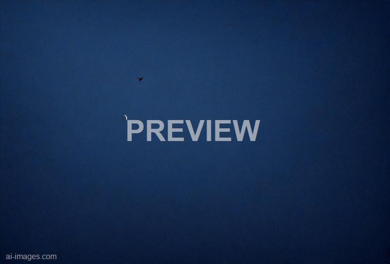 freepik__dark-blue-paper-texture-background__47832_250930004513_00001