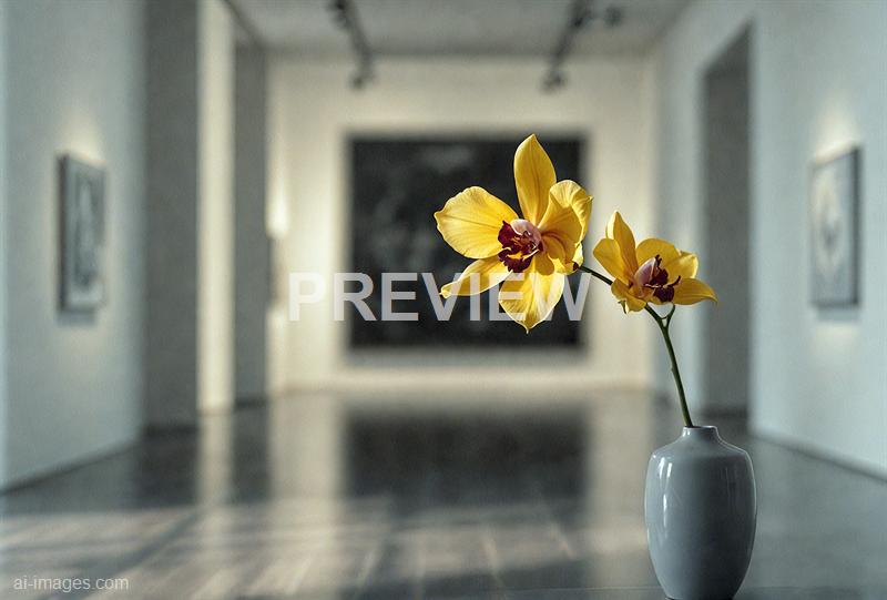 freepik__a-soft-artificial-glow-illuminates-a-quiet-modern-__31646_250523095744_00001