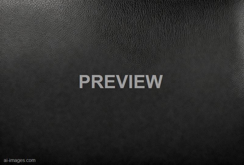 freepik__panorama-of-black-leather-texture-and-background__11731_250525210331_00001