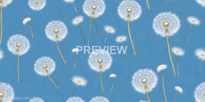 freepik__white-dandelions-on-blue-background__58150_250526100421_00001