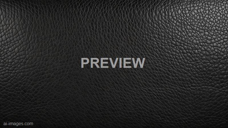 freepik__panorama-of-black-leather-texture-and-background-c__11683_250525210253_00001