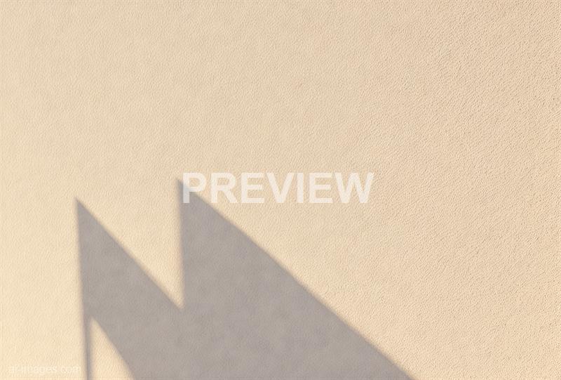 freepik__adorable-cartoon-style-white-plastered-wall-backgr__74972_250519052727_white_00001