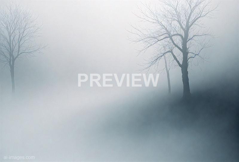 freepik__dark-and-mysterious-abstract-white-background-dark__33427_250519092709_white_00001