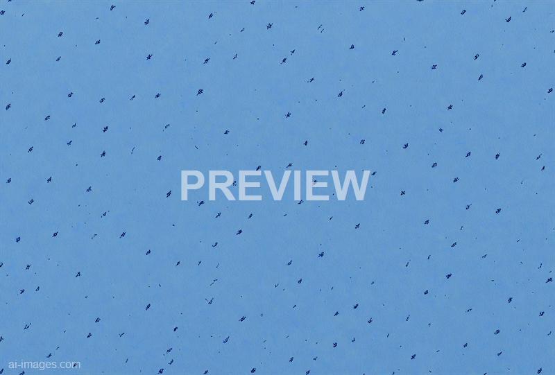 freepik__macro-panorama-of-a-clean-cornflower-blue-paper-te__94729_250928090313_00001