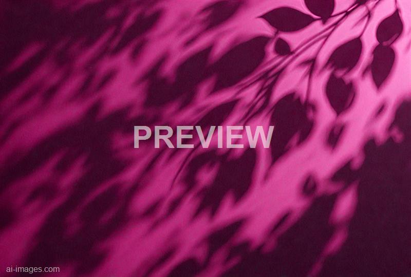 freepik__leaf-shadows-on-a-cement-dark-magenta-background-i__38730_251009135926_00001