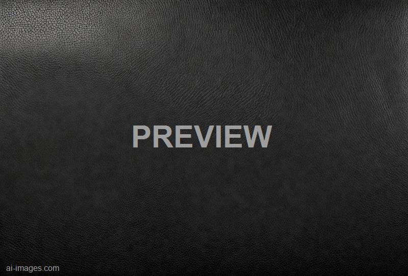 freepik__panorama-of-black-leather-texture-and-background__11732_250525210336_00001
