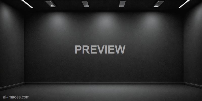 freepik__black-empty-black-color-studio-room-background-can__98024_250524182258_00001