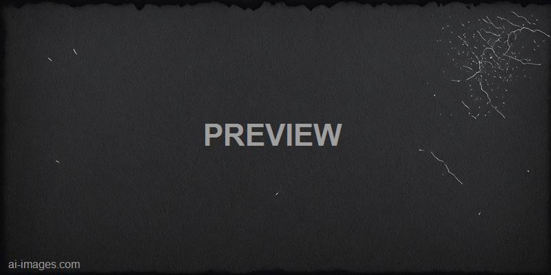 freepik__black-paper-texture-page-of-the-old-photo-album__74934_250524225356_00001