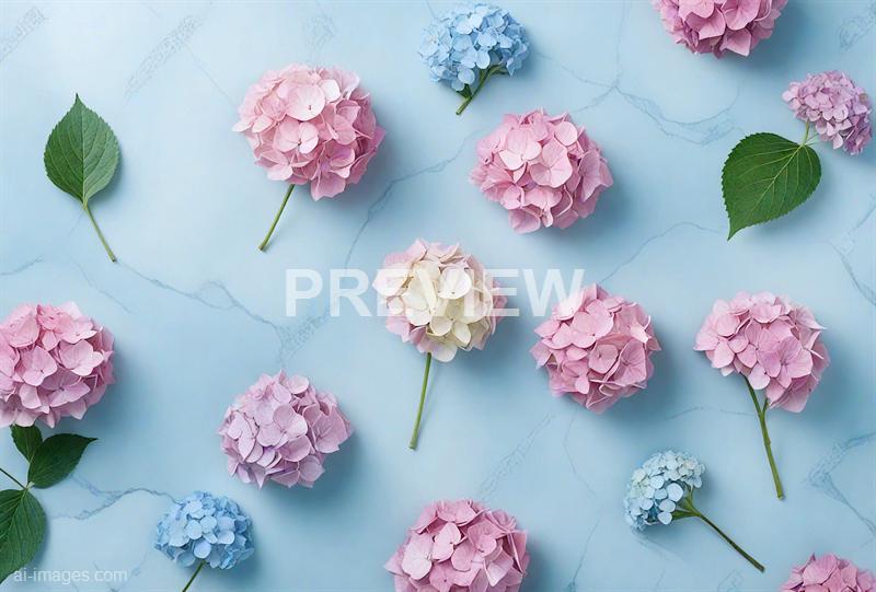 freepik__flowers-composition-hydrangea-flowers-on-pastel-al__51666_00000