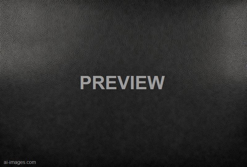 freepik__panorama-of-black-leather-texture-and-background__11718_250525210307_00001