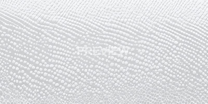 freepik__abstract-halftone-pattern-in-white-and-light-gray-__33686_250520171726_white_00001